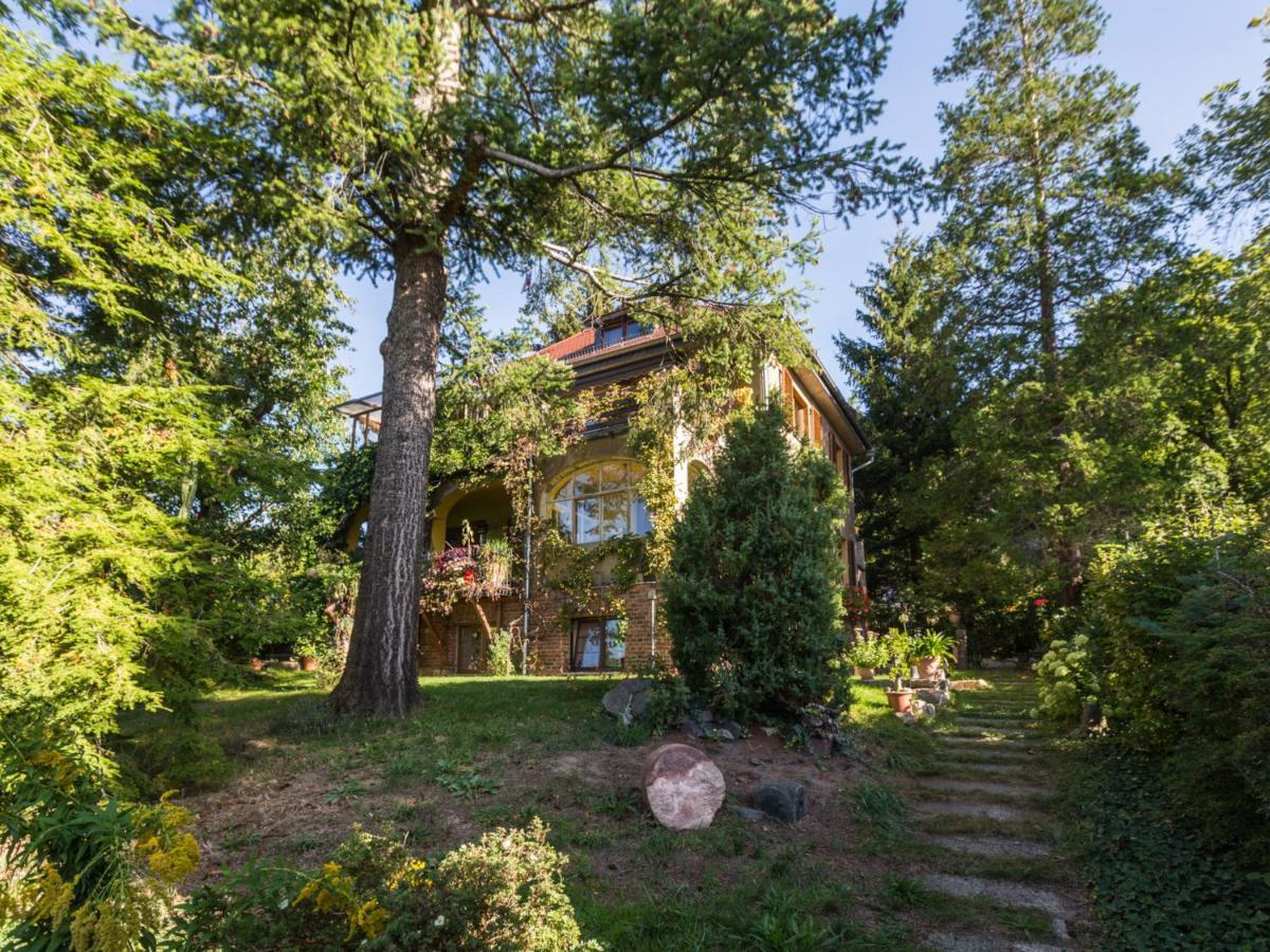 Ferienwohnung Dresden-Pillnitz - Elbhang-Villa - "Am Zuckerhut" エクステリア 写真
